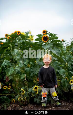 Toddler boy 2-3 years old stands in front of a sunflower field outside Stock Photo