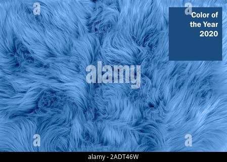 Blue textured fur background. Blue sheepskin background and texture. Stock Photo