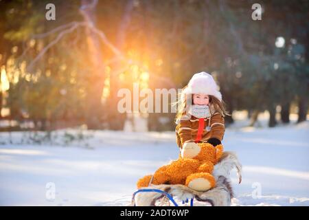 Girl playing and having fun in the winter forest at sunset. Sledding a teddy bear. Children sledding in a snowy park. Winter holiday. Stock Photo