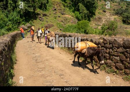 Ethiopia, Amhara Region, Bahir Dar, Tissisat, pack animals crossing Alata Bridge over Blue Nile River built by Portuguese for Emperor Susenyos in1626 Stock Photo