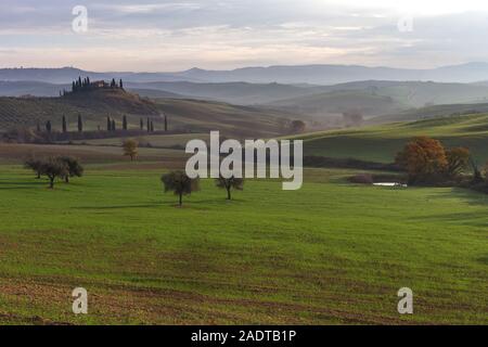 Famous Podere Belvedere in morning light, in the heart of the Tuscany, near San Quirico in de Val d'Orcia valley Stock Photo