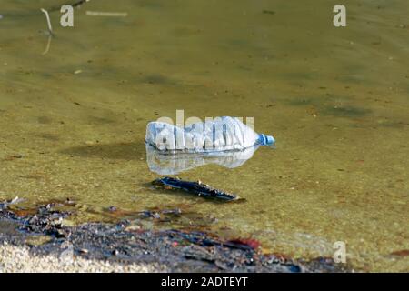 Plastic mineral water bottle junk floating on water in nature. Belgrad Forest in Istanbul of Turkey. Stock Photo