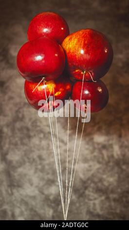 Ripe red apples on a dark background, tied with ropes like balloons Stock Photo