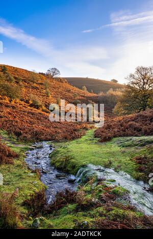 Rocky stream on the Sugar loaf in the Black Mountains, Wales. Stock Photo