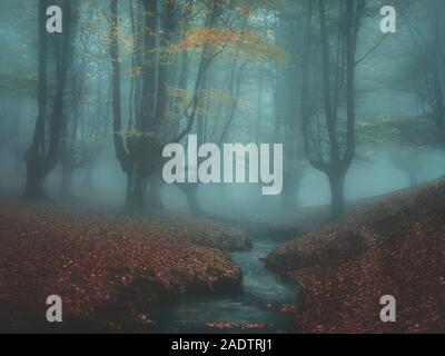 dark forest and river with fog in autumn in Otzarreta Stock Photo