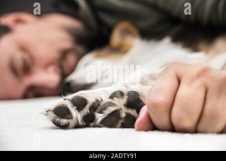 paws from a puppy dog and male´s hand in the front, man and whelp relaxing and sleeping together Stock Photo