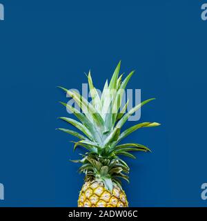 Pineapple at the blue solid dropwith place for text. Trendy modern colorful background. Square Stock Photo