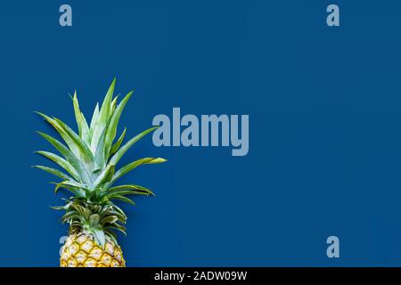 Pineapple at the blue solid drop with place for text. Trendy modern colorful background. Horizontal Stock Photo