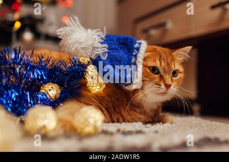 Ginger cat wears Santa's hat under Christmas tree playing with lights and tinsel. Christmas and New year concept Stock Photo
