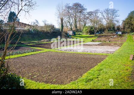 A small village allotment field providing space for those with mo suitable space to grow fruit flowers and vegetables in a congenial atmosphere of mut Stock Photo