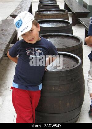 A boy portrait. Sillly face expression, wide eyes, funny lips. Stock Photo