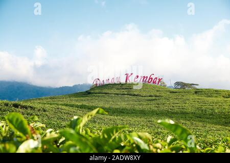 Traditional highland tea plantation in mountains. Popular place, travel destination at family vacation tour in sumatra island. selective focus. - imag Stock Photo