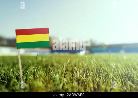 Miniature stick Bolivia flag on green grass, close up sunny field. Stadium background, copy space for text. Stock Photo