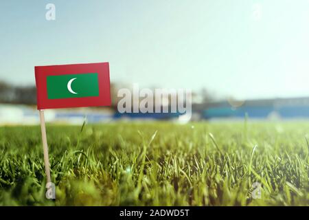 Miniature stick Maldives flag on green grass, close up sunny field. Stadium background, copy space for text. Stock Photo