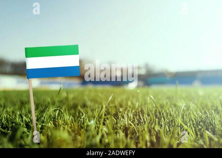 Miniature stick Sierra Leone flag on green grass, close up sunny field. Stadium background, copy space for text. Stock Photo