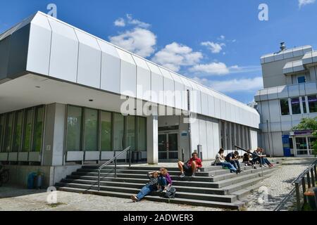 Silberlaube, Freie Universität, Habelschwerdter Allee, Dahlem, Steglitz-Zehlendorf, Berlin, Deutschland Stock Photo