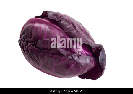 Fresh organic red pointed cabbage isolated on white background close up Stock Photo