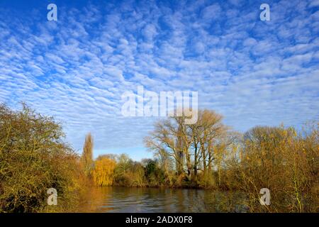 Autumnal trees on the river bank,River Trent,Nottingham,England,UK Stock Photo