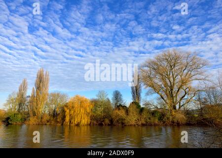 Autumnal trees on the river bank,River Trent,Nottingham,England,UK Stock Photo