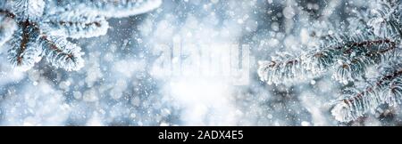 Pine tree branches covered frost in snowy atmosphere. Winter panoramic banner with snowy pine branches Stock Photo