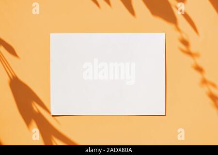 Paper card on the yellow table with drop shadow of plant branches. Stock Photo