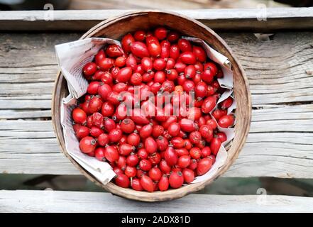 Photo of freshly picked rosehipsin at rural courtyard . Wooden bowl of rose hip or rosehip. Commonly known as the dog rose Stock Photo