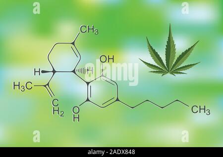 The formula of hemp CBD. Structural model of the molecules of cannabidiol and tetrahydrocannabinol. Medicinal cannabis. Medical marijuana, Vector Stock Vector