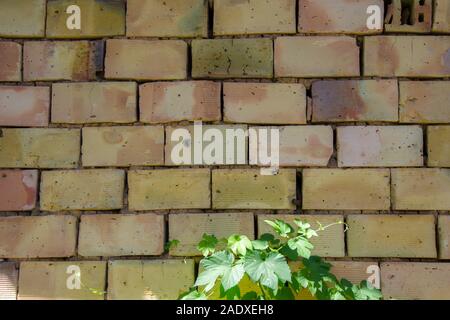 Old brick wall texture with scratches and cracks, vintage grunge background Stock Photo