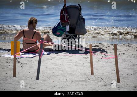 sea turtle nest sectioned off near family beach cocoa beach florida usa Stock Photo