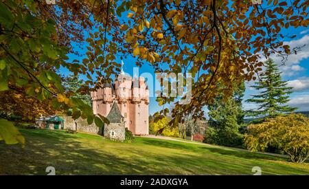 CRAIGIEVAR CASTLE ABERDEENSHIRE SCOTLAND THE PINK CASTLE AND OVERHANGING BEECH TREE IN AUTUMN Stock Photo