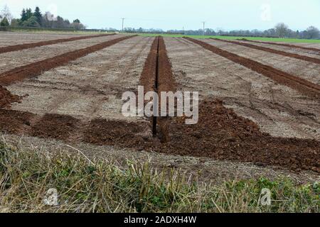 A field with drainage ditches dug in it to take land drains, Shropshire, England, UK Stock Photo