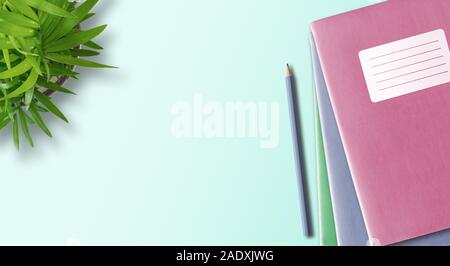 directly above shot of stack of notebooks or exercise books with blank adhesive label and pencil on desk with green potted plant, education concept Stock Photo