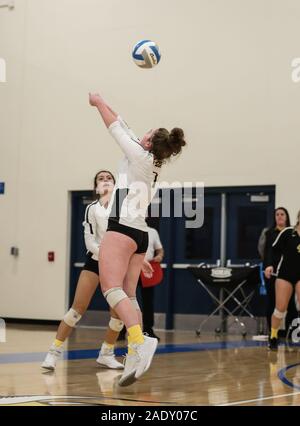 Volleyball action with Kuna vs Shelley High School in Coer d'Alene, Idaho. Stock Photo