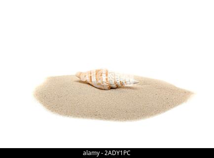 White Sand and Shell, pile of Sand with Seashell isolated on white Background, top View for Designers Ideas Stock Photo