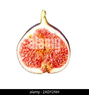 Fresh fig slice isolated on white background, ripe fruit half cut out, studio shot Stock Photo