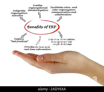 Benefits of ERP Stock Photo