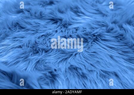 Fur background toned blue color. Sheepskin background and texture. Stock Photo