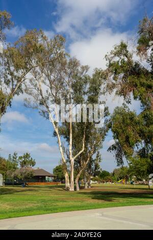 SAN DIEGO, CA - NOVEMBER 15: Boise State Broncos quarterback Max ...