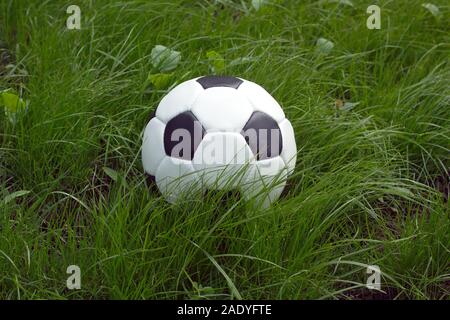 White and black ball for playing soccer lays in high green grass outdoor closeup view Stock Photo