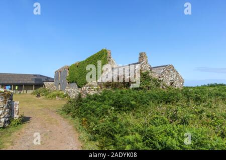 The ruins of the Old Farm used as hostel accomodation on Skomer Island on the Pembrokeshire coast, west Wales Stock Photo