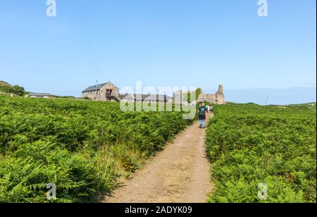 The ruins of the Old Farm used as hostel accomodation on Skomer Island on the Pembrokeshire coast, west Wales Stock Photo