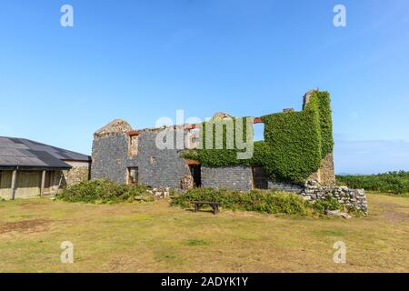 The ruins of the Old Farm used as hostel accomodation on Skomer Island on the Pembrokeshire coast, west Wales Stock Photo