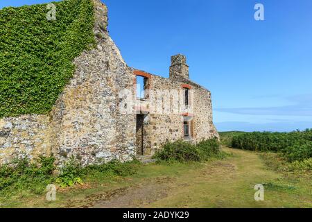 The ruins of the Old Farm used as hostel accomodation on Skomer Island on the Pembrokeshire coast, west Wales Stock Photo