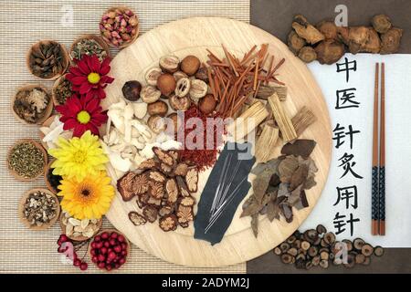 Chinese herb selection and acupuncture needles with calligraphy script. Translation reads as acupuncture needles used in traditional chinese medicine. Stock Photo