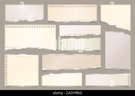 Colored ripped paper strips collection. Realistic paper scraps with torn edges. Sticky notes, shreds of notebook pages. Vector illustration. Stock Vector