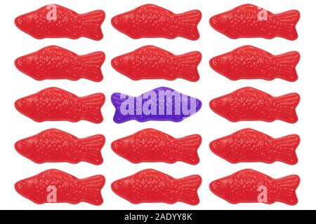 Swedish Fish: go against the flow Stock Photo