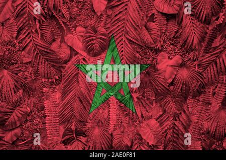 Morocco flag depicted on many leafs of monstera palm trees. Trendy fashionable background Stock Photo