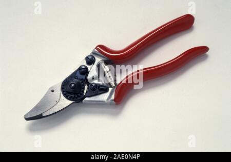 STUDIO IMAGE OF GARDEN SECATEURS ON WHITE BACKGROUND. Stock Photo