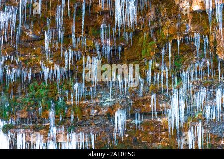 Small icicles on a slope overgrown with moss in a forest near a waterfall Stock Photo
