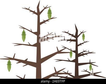 dry pines trees plants forest scene Stock Vector Image & Art - Alamy